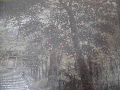 ◆未開封 澁澤 卿 しぶさわ けい◇陰映落椿 1000ピース◆ジグソーパズル BEVERLY レア