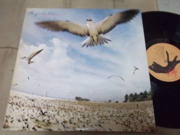 【国内盤LP】「高中正義／Seychelles」キティ