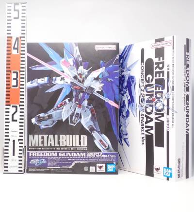 未開封 METAL BUILD フリーダムガンダム CONCEPT 2 SNOW SPARKLE Ver. 機動戦士ガンダムSEED バンダイ