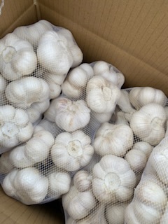 青森県 にんにく20Kg L 現品限り！