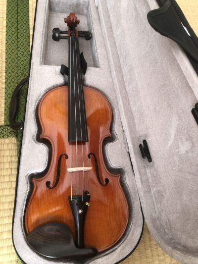 ドイツ フルサイズ 4/4 バイオリン ヴァイオリン