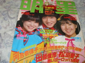 ◆明星/河合奈保子・ビキニ 松田聖子 榊原郁恵 三原順子 石野真子 高田みづえ 西城秀樹 