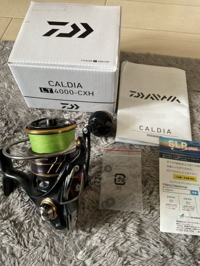 ダイワ CALDIA カルディア LT 4000-CXH