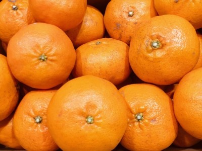 １円スタート！！甘平10kg！愛媛県産 M～Lサイズ...