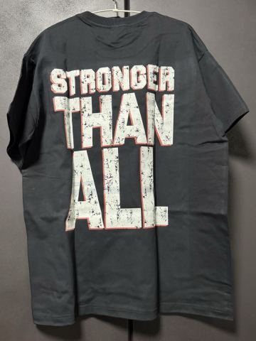 PANTERA _ Cowboys from Hell STRONGER THAN ALL T_shirts XL Tagless パンテラ METAL EXODUS Suicidal Tendencies Metallica IRON MAIDEN 
