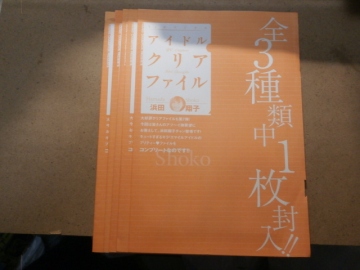 ##浜田翔子## YCアイドルクリアファイル（B５版）全３種類中１枚封入　５冊