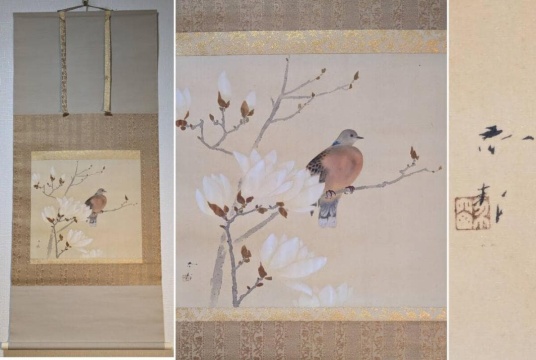 【真作】掛軸　白木蓮に山鳩　上品な春の情景　春の静寂　花鳥逸品　合箱入　R108